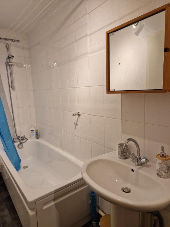 Appartement Tout Confort Montagne Et Lac Leman Thollon-les-Memises 外观 照片