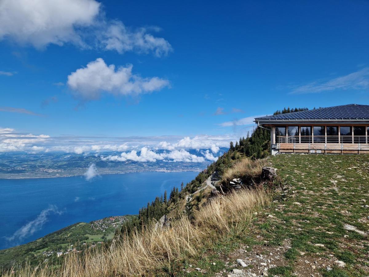 Appartement Tout Confort Montagne Et Lac Leman Thollon-les-Memises 外观 照片
