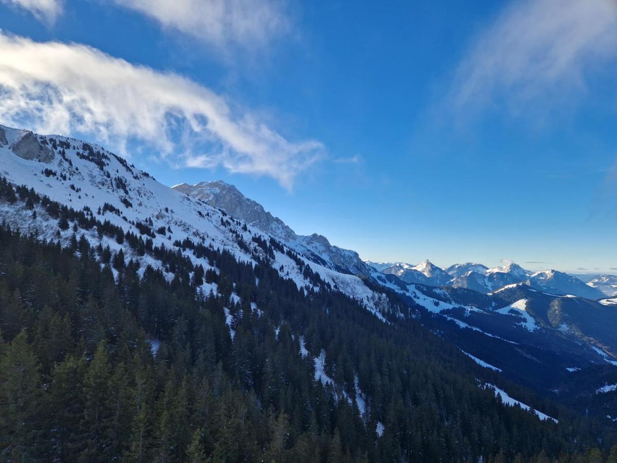 Appartement Tout Confort Montagne Et Lac Leman Thollon-les-Memises 外观 照片