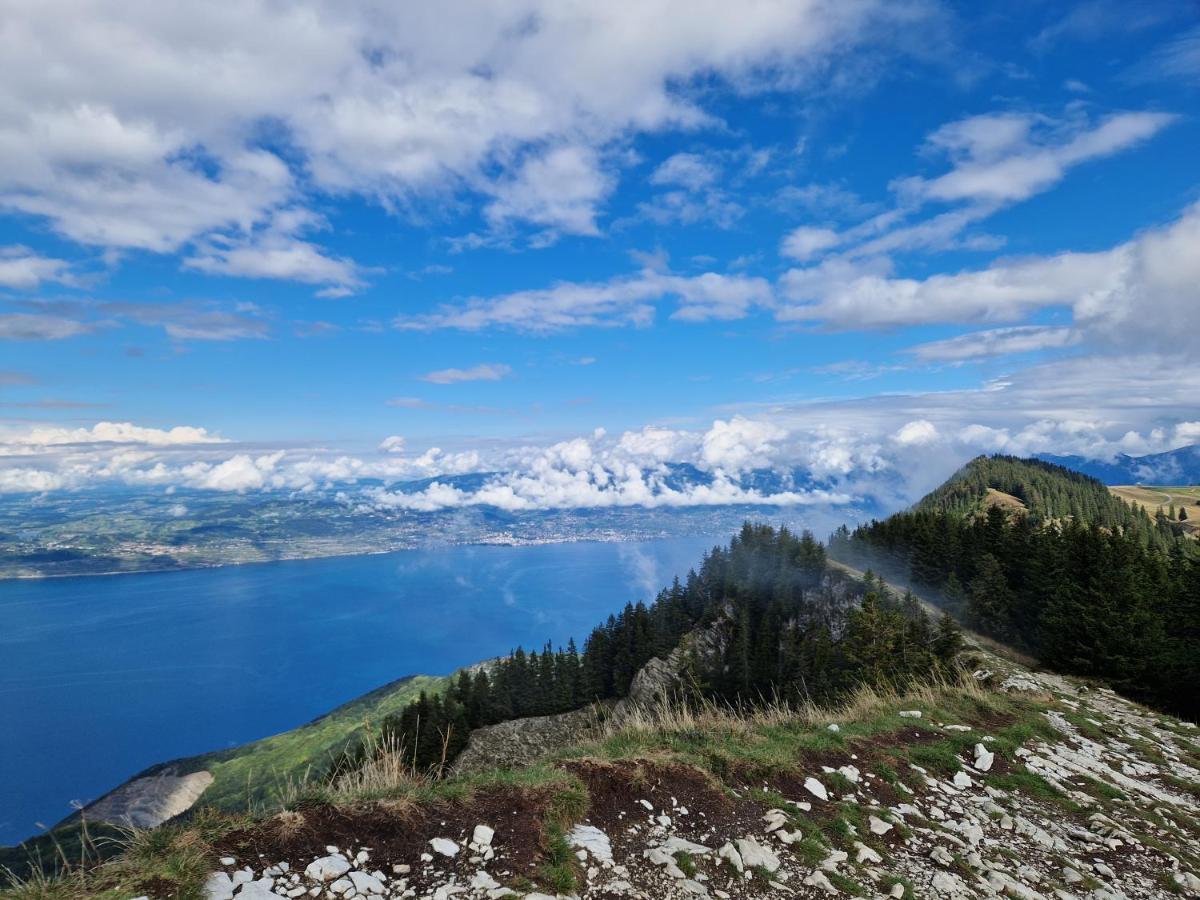 Appartement Tout Confort Montagne Et Lac Leman Thollon-les-Memises 外观 照片